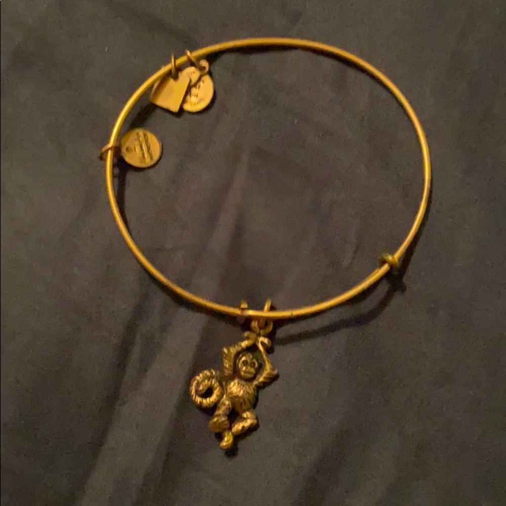 Alex and Ani Monkey Bracelet